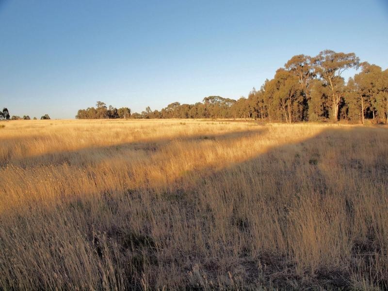 Lot 1 Murrowood Lane, Eppalock VIC 3551