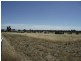 1510 Bendigo-Pyramid Hill Road, Sebastian VIC 3556