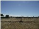 1510 Bendigo-Pyramid Hill Road, Sebastian VIC 3556