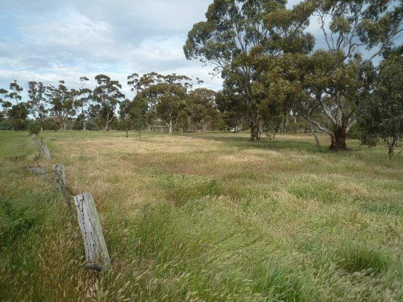 CA23 Jennings Street, Inglewood VIC 3517