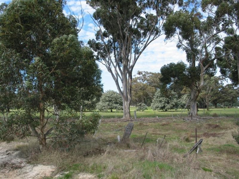 CA23 Jennings Street, Inglewood VIC 3517