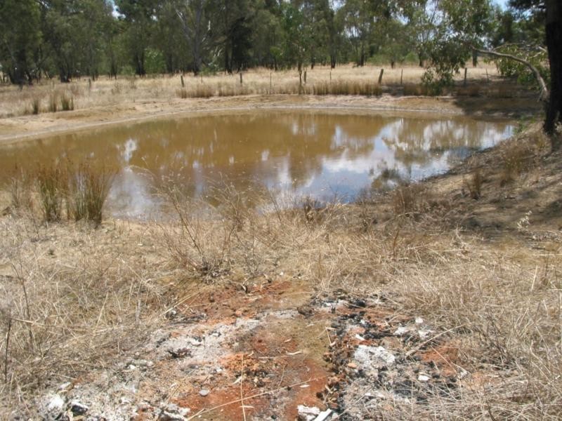 431 Sharkeys Road, Goornong VIC 3557