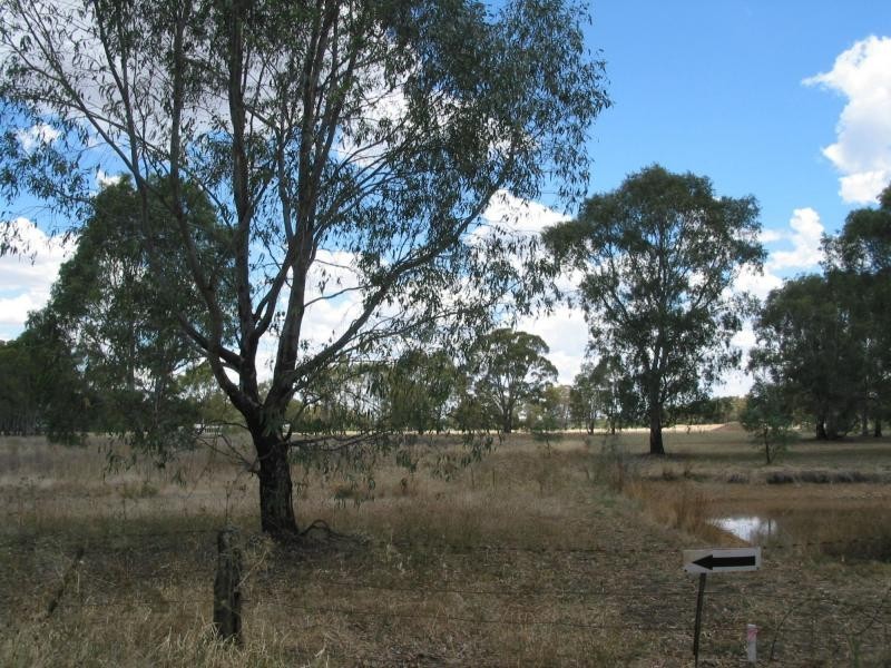 431 Sharkeys Road, Goornong VIC 3557