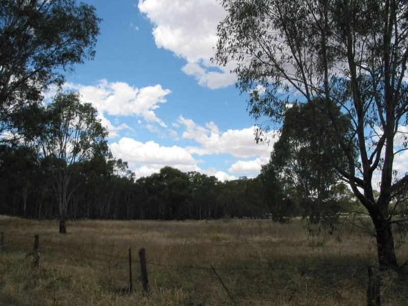 431 Sharkeys Road, Goornong VIC 3557