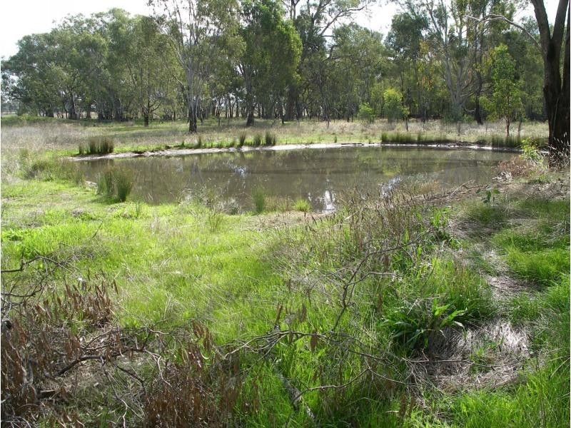 431 Sharkeys Road, Goornong VIC 3557