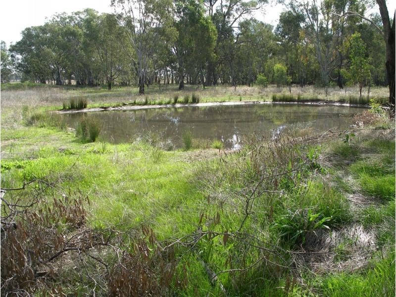 431 Sharkeys Road, Goornong VIC 3557