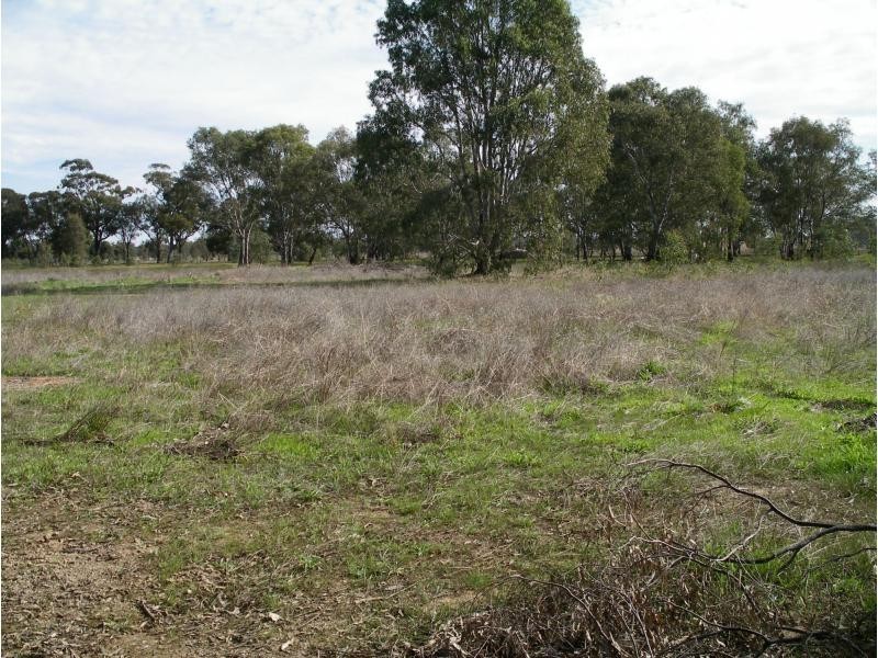 431 Sharkeys Road, Goornong VIC 3557