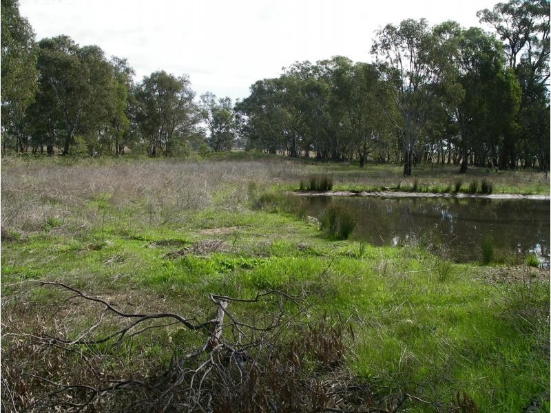 431 Sharkeys Road, Goornong VIC 3557