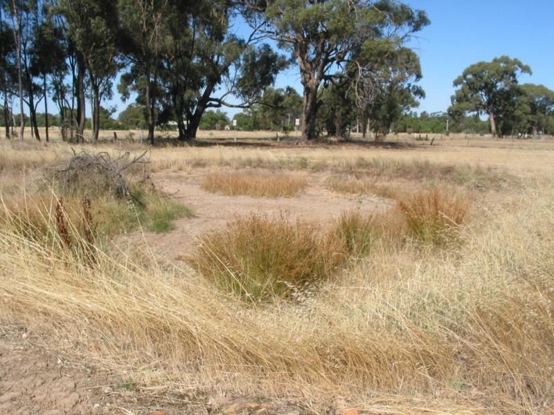 Lot 13 Main And Market, Newbridge VIC 3551