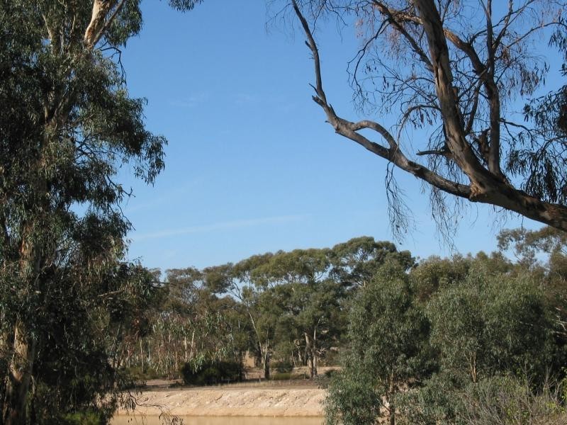 1210 Wimmera Highway, Tarnagulla VIC 3551