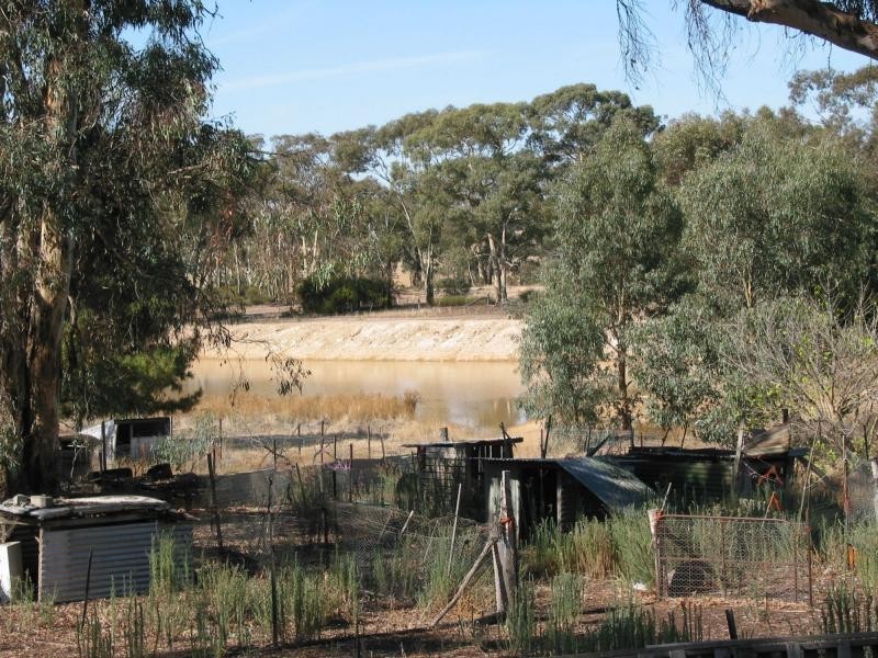 1210 Wimmera Highway, Tarnagulla VIC 3551