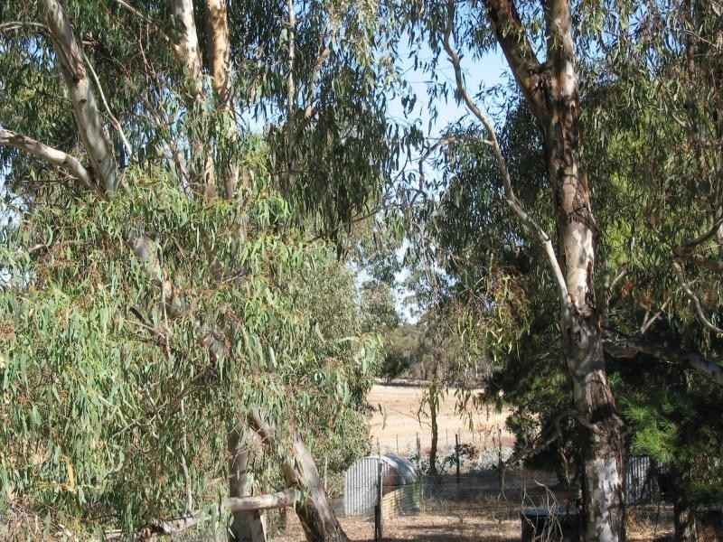 1210 Wimmera Highway, Tarnagulla VIC 3551