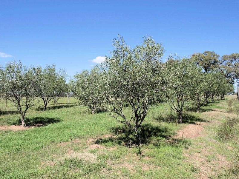 Lot 4 Barnadown/Knowsley Road, Axedale VIC 3551