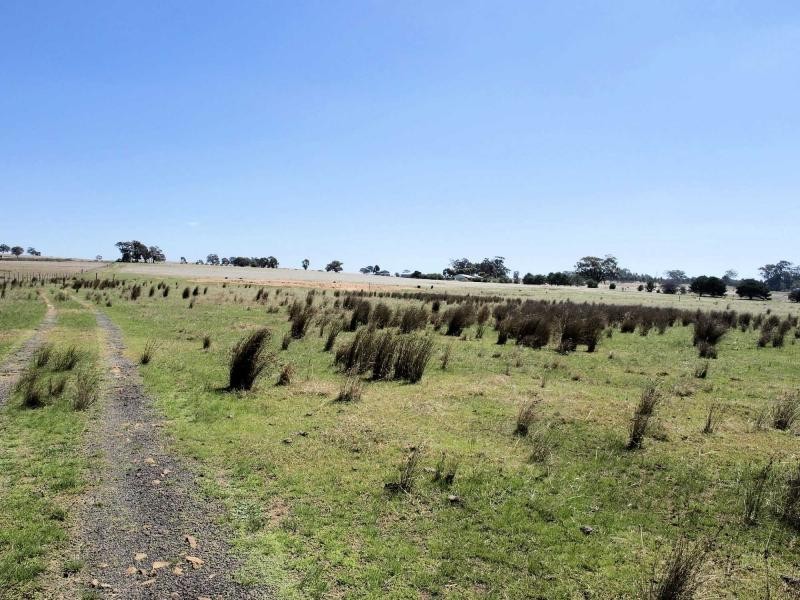 Lot 4 Barnadown/Knowsley Road, Axedale VIC 3551