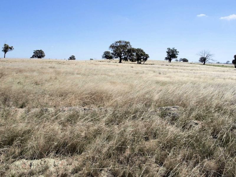 Lot 4 Barnadown/Knowsley Road, Axedale VIC 3551