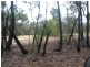 Lot 3, 79 Palmer Road, Neilborough VIC 3570