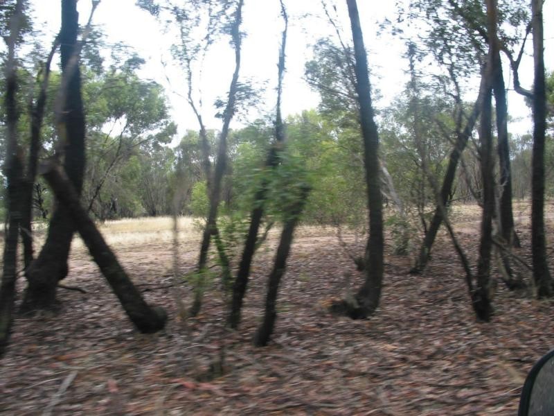 Lot 3, 79 Palmer Road, Neilborough VIC 3570