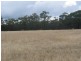 Lot 3, 79 Palmer Road, Neilborough VIC 3570