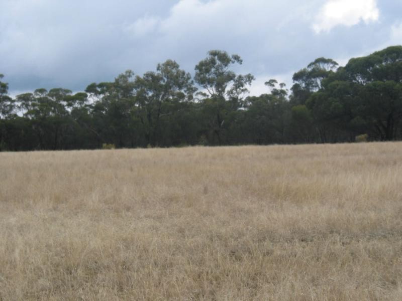 Lot 3, 79 Palmer Road, Neilborough VIC 3570