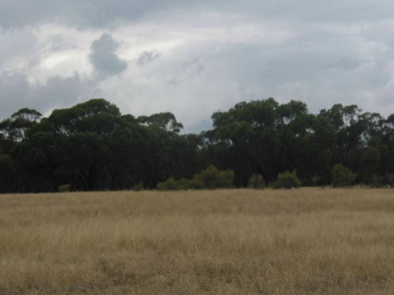 Lot 3, 79 Palmer Road, Neilborough VIC 3570