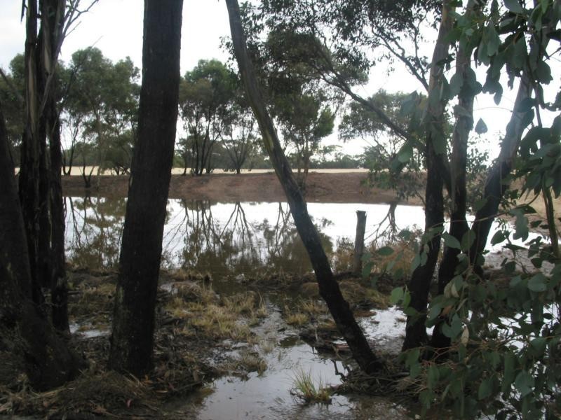 Lot 3, 79 Palmer Road, Neilborough VIC 3570