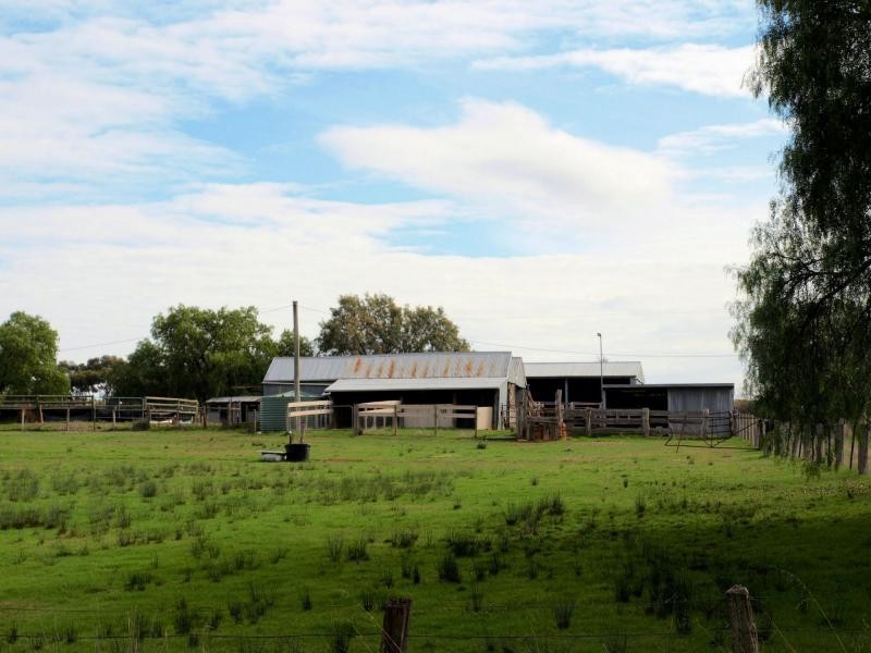 1000 Mia Mia Derrinal Road, Eppalock VIC 3551