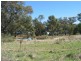 Neilborough VIC 3570