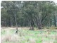 Neilborough VIC 3570