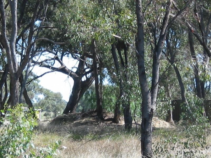 Neilborough VIC 3570