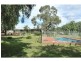 76 Market St, Newbridge VIC 3551