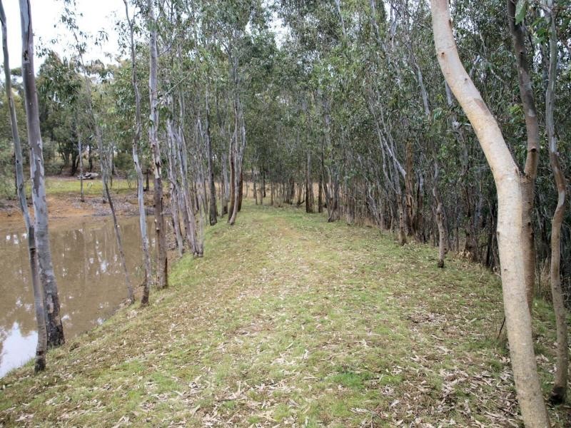 460A Hardings Lane, Heathcote VIC 3523