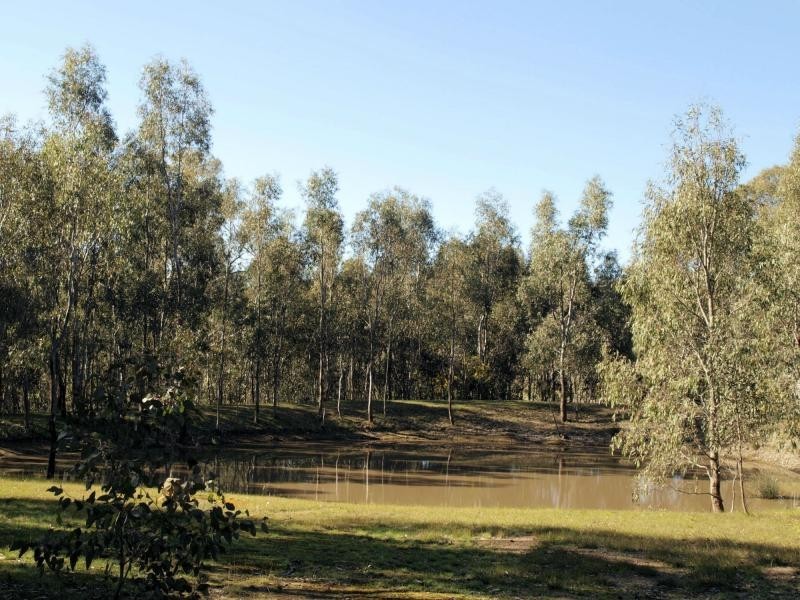 460A Hardings Lane, Heathcote VIC 3523