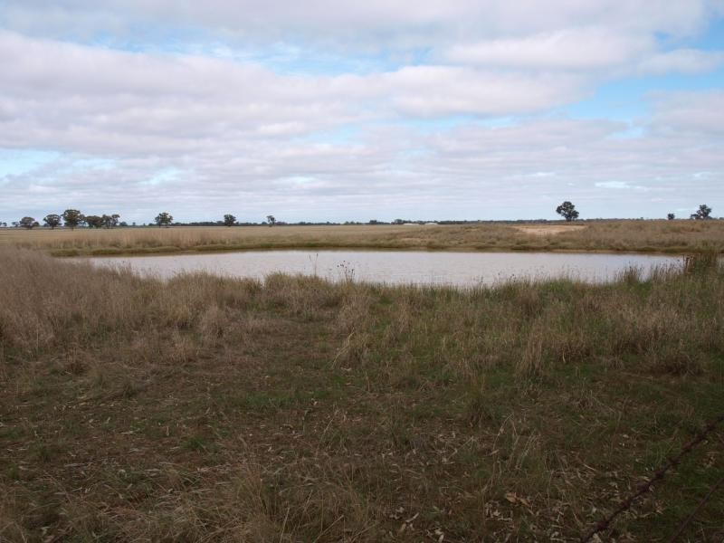 CA 6 Sec E Elmore Raywood Road, Raywood VIC 3570