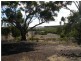 123 Wychitella Road, Wedderburn VIC 3518