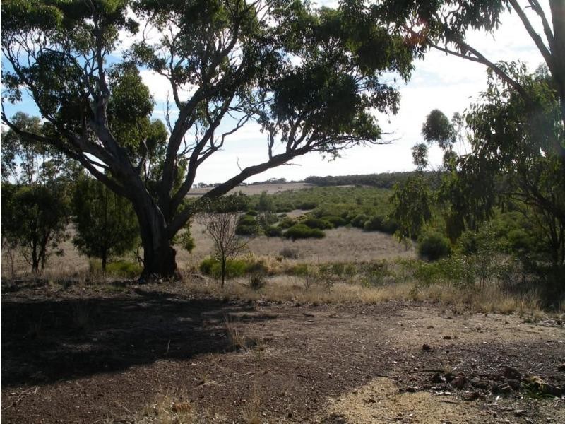 123 Wychitella Road, Wedderburn VIC 3518