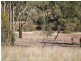 123 Wychitella Road, Wedderburn VIC 3518