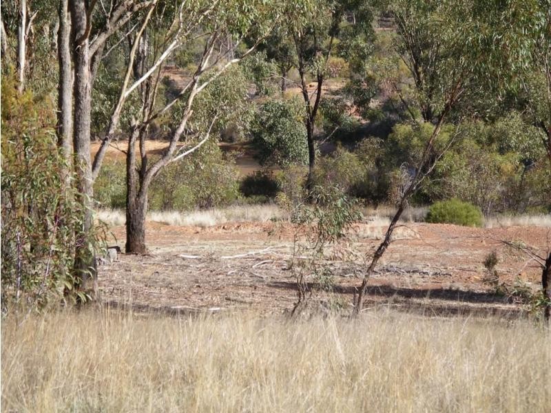 123 Wychitella Road, Wedderburn VIC 3518