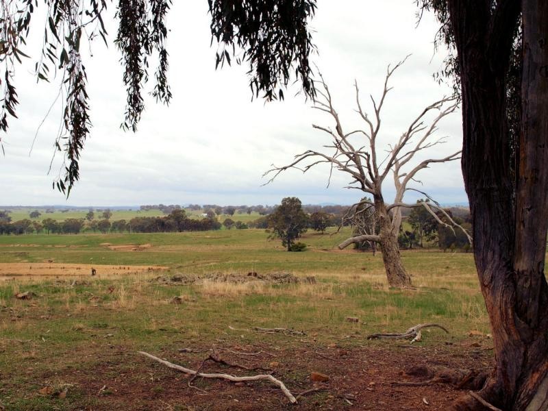 L15F: 15H Killeens Lane, Eppalock VIC 3551