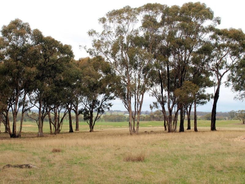 L15F: 15H Killeens Lane, Eppalock VIC 3551