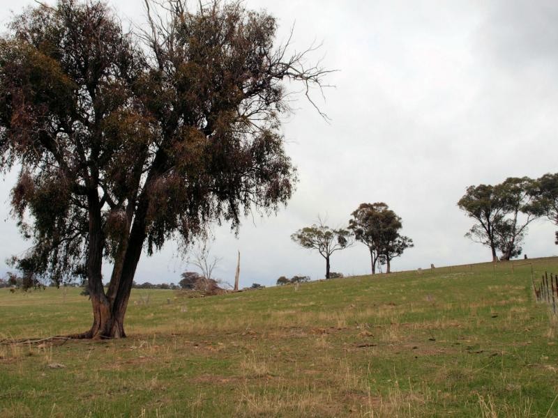 L15F: 15H Killeens Lane, Eppalock VIC 3551