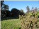 106 Commercial Road, Tarnagulla VIC 3551