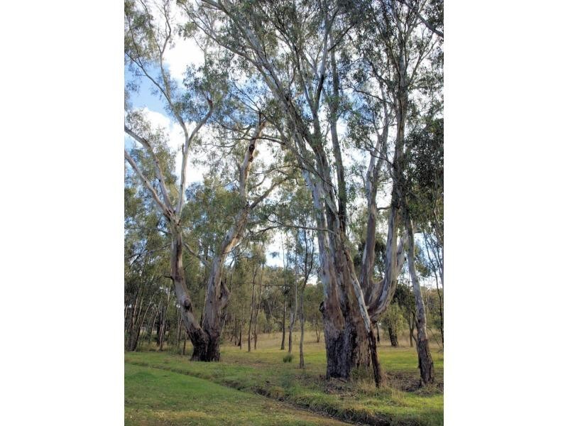 10 Hookes Lane, Heathcote VIC 3523