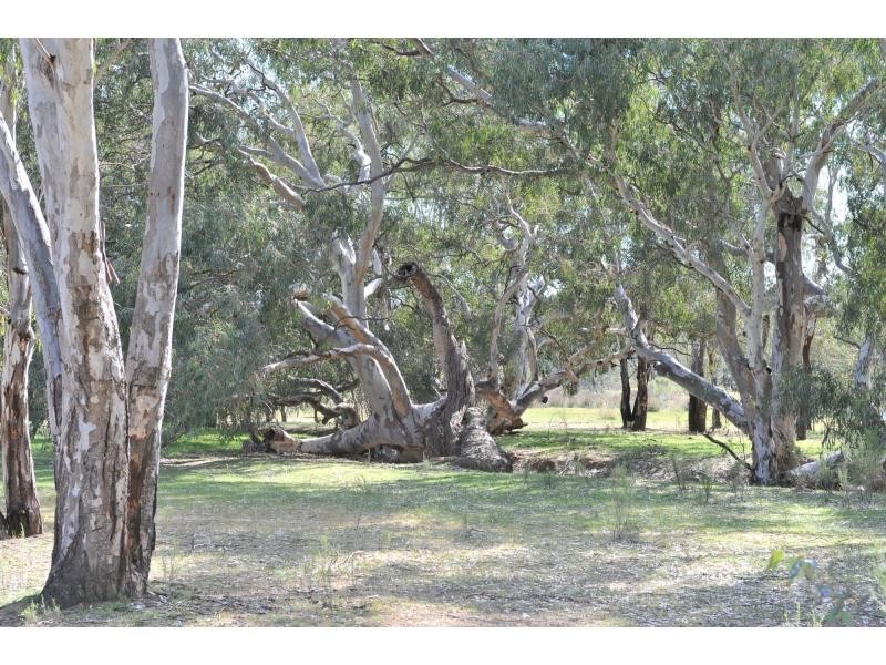 64 Native Gully Crescent, Strathfieldsaye VIC 3551