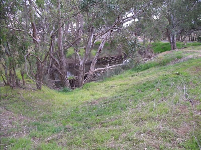 331 Arnold Rheola Road, Arnold VIC 3551