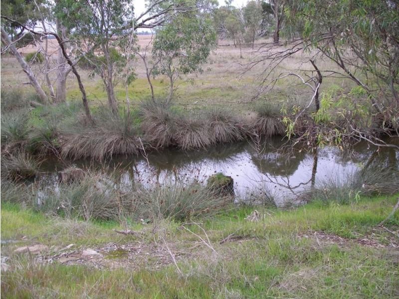 331 Arnold Rheola Road, Arnold VIC 3551