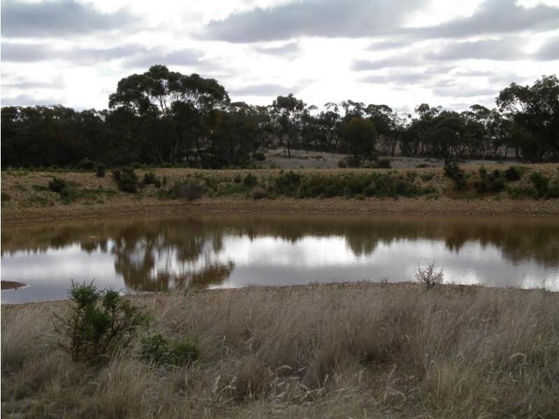 Lot 6 Eucy Road, Korong Vale VIC 3520