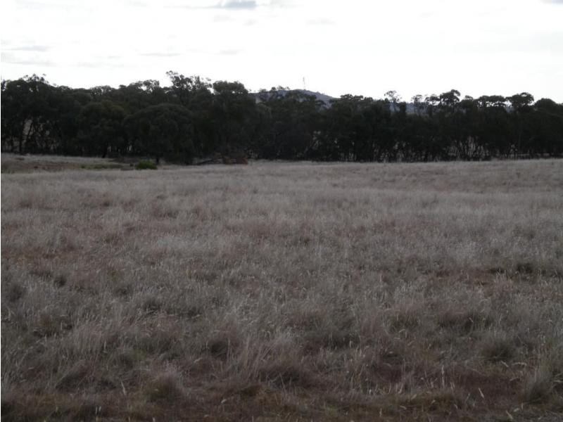 Lot 6 Eucy Road, Korong Vale VIC 3520