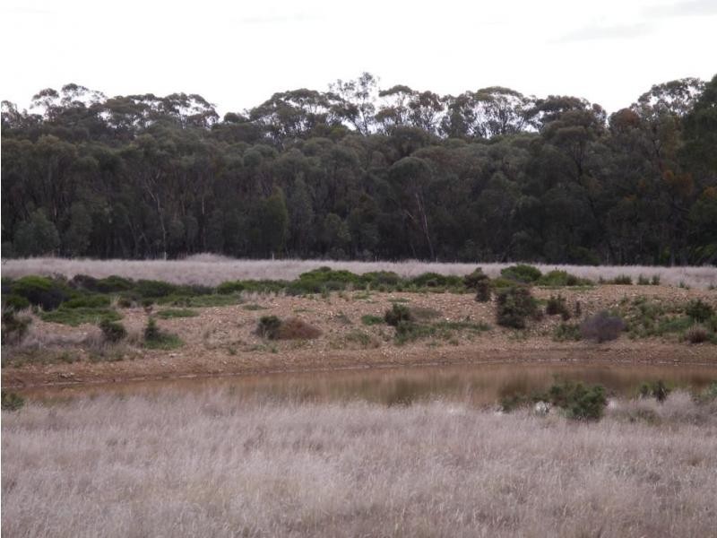 Lot 6 Eucy Road, Korong Vale VIC 3520