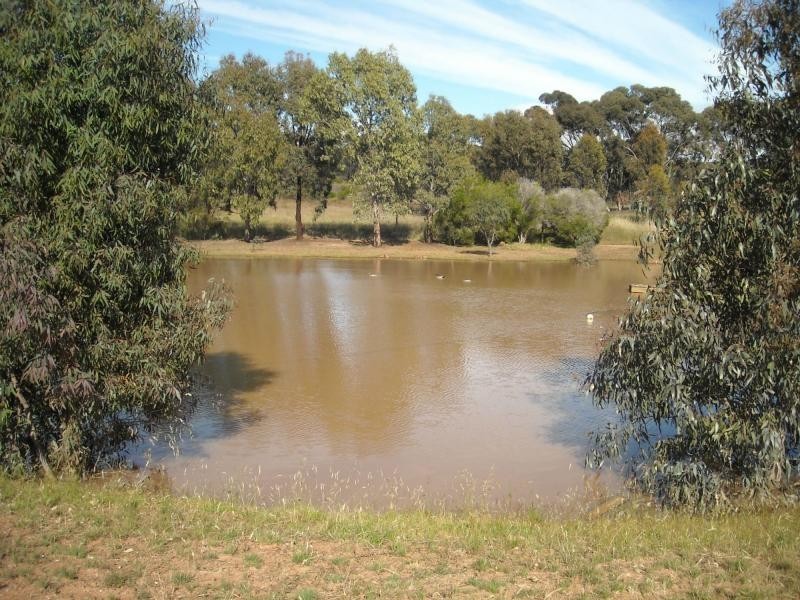 260 Scotts Lane, Wedderburn VIC 3518