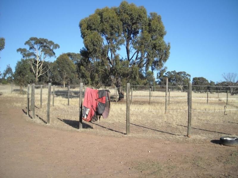 260 Scotts Lane, Wedderburn VIC 3518